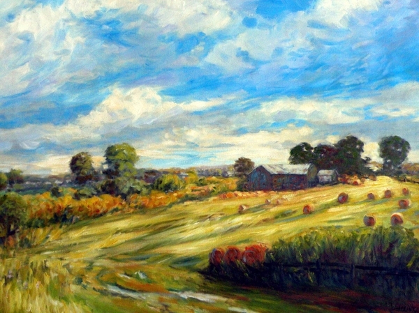 Farmland 32x42